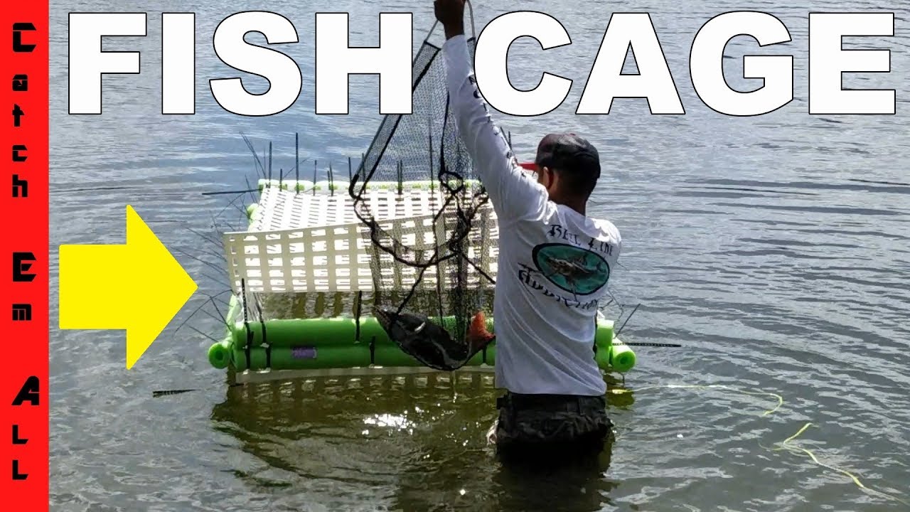 MONSTER DIY FISH CAGE! Saving my GIANT FISH Pets from Hurricane YouTube