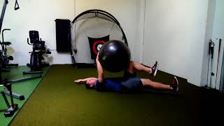 Physioball Deadbug Opposites