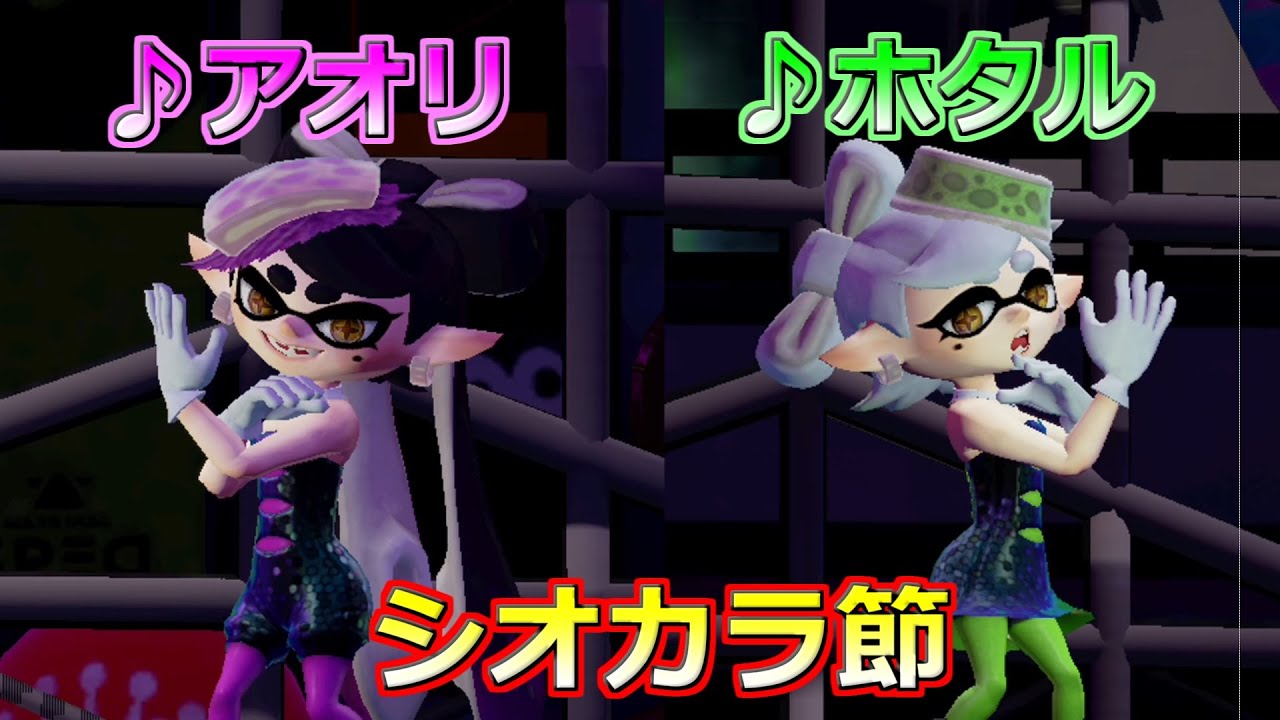 スプラトゥーン シオカラーズamiibo紹介 アオリ ホタルver スプラ アミーボ シオカラ節full Youtube