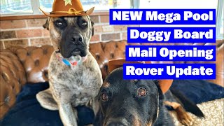 NEW Mega Pool Doggy Board | Mail Opening | Rover Update