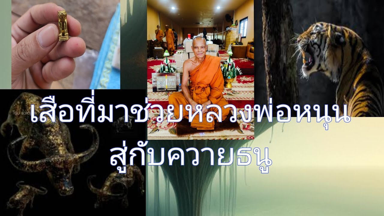 พยัคฆ์พรหม1 เสือที่มาช่วยหลวงพ่อหนุนสู้กับควายธนู