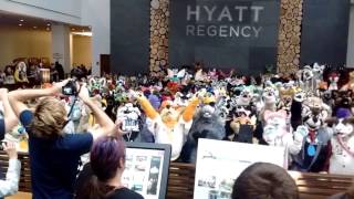 Furry Migration 2016 Photoshoot