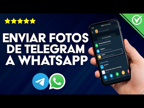 Cómo Enviar Fotos de Telegram a WhatsApp de Forma Sencilla y Rápida