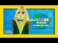 Corn Palace Facts and Trivia
