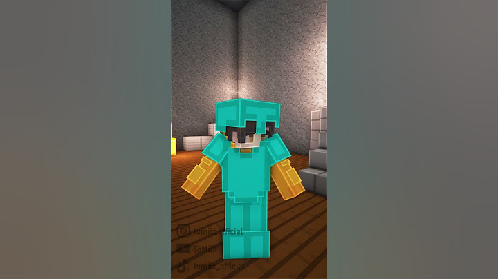 Ce pote qui vole tout sur Minecraft !