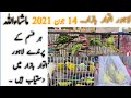 Lahore Sunday Birds Market Latest Price Update | 14 - 06 - 2021 |P I C |