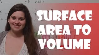 Surface Area to Volume Ratio