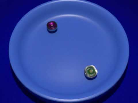 Beyblade Animation Test Project