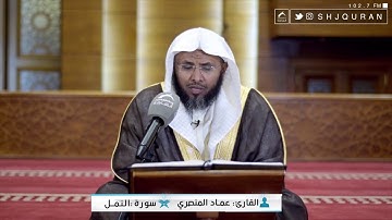 القارئ : عماد المنصري | سورة النمل