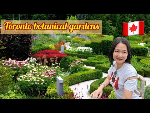 Wideo: Toronto Botanical Garden: Kompletny przewodnik