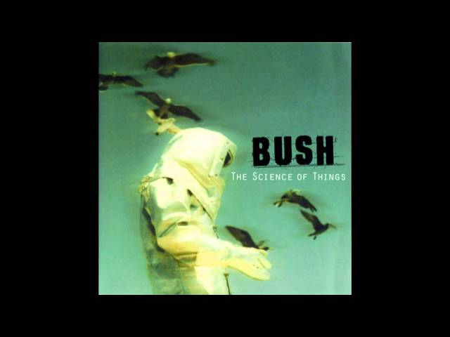 Bush - Spacetravel