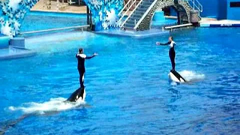 clark and janene   shamu and his girlfriend