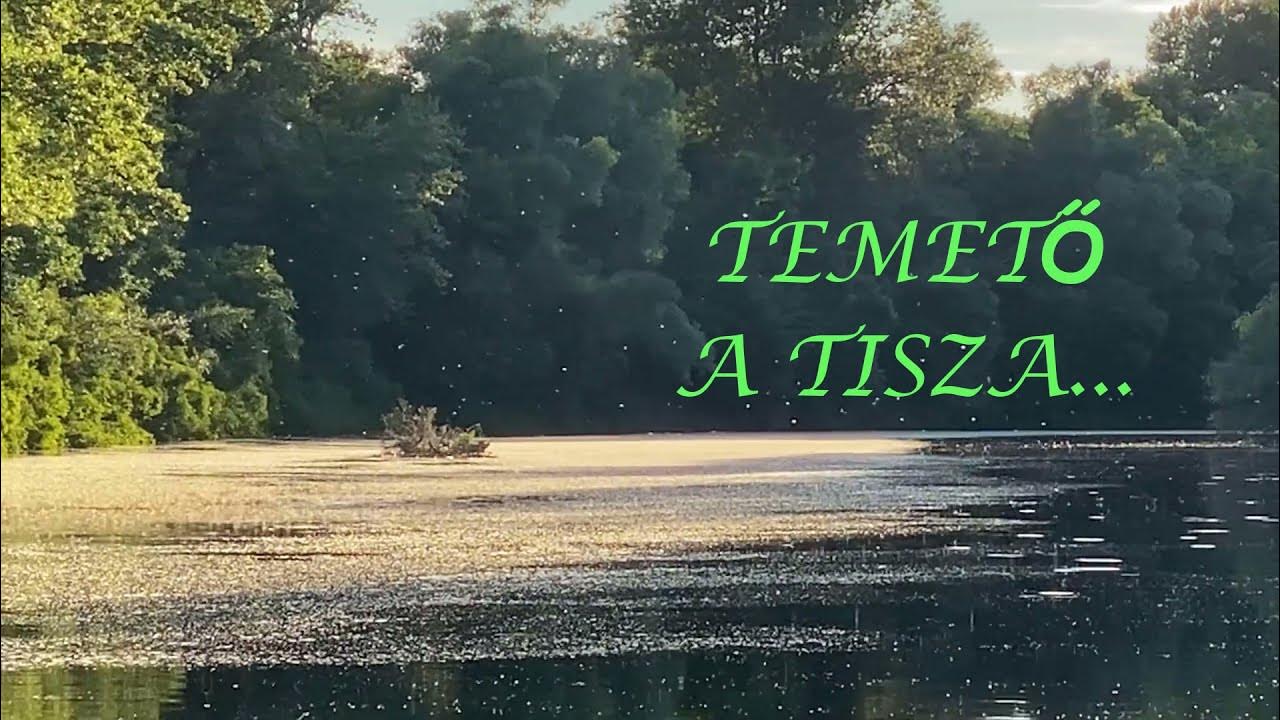 temető