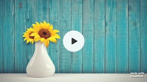 Class-4th Lesson-7:-Aruni:A True Disciple Words-Meaning with Neelam Mishra