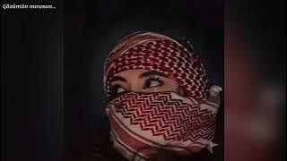 Fadl Shaker ... Fen Layalik ( Slowed HQ 0.96 )use headphones!