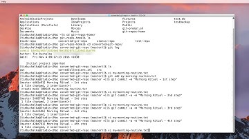 021 Viewing the Git Commit History