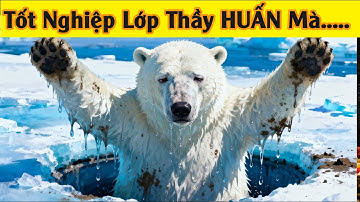 Tốt Nghiệp Loại Giỏi Đây...!  | Động Vật Hài Hước