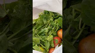 Emir’e Ispanaklı Yumurta 🥬🍳 Resimi