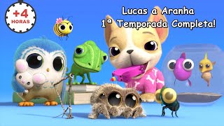 Lucas a Aranha em Português BR | 1ª Temporada Completa! | Compilação de 4 Horas | Desenhos Animados