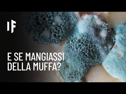 Video: Il legno ammuffito può farti ammalare?