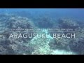 Okinawa Miyakojima Snorkeling May 2016 &quot;ARAGUSUKU BEACH&quot; 宮古島 シュノーケリング 新城海岸