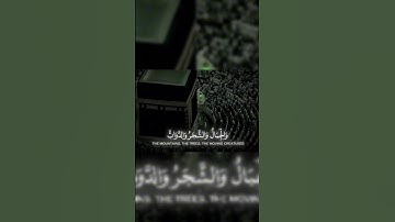 تلاوة خاشعة للقارئ ياسر الدوسري ❤️ #ياسر_الدوسري #تلاوة_خاشعة #قرآن #القرآن_الكريم #عبدالعزيز_سحيم