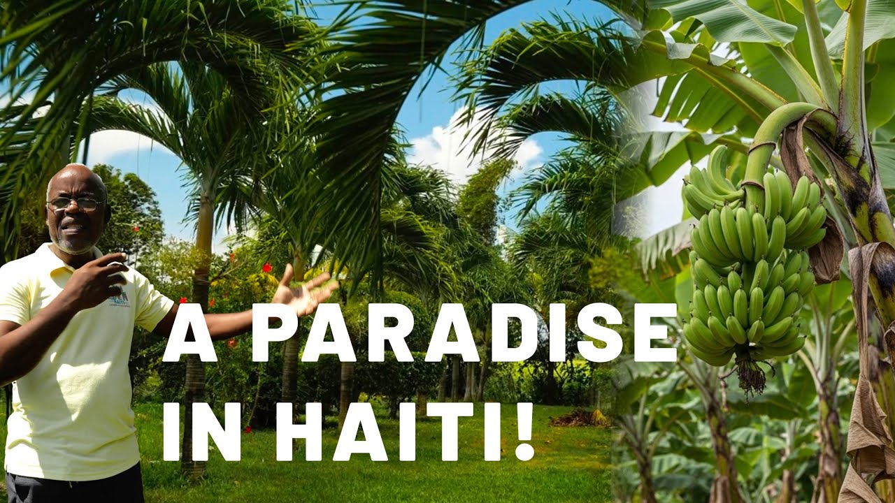 Ou p ap kwè se yon pastè ki bati jaden sa 😱😱