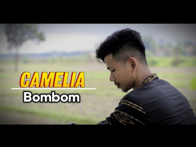 Camelia (Cover) Bombom class=