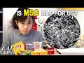 MSG is Not Bad for You. Right? | Eat China: Back to Basics S4E2