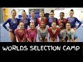 TSL Discusses the 2019 Worlds Selection Camp with Justin Powers