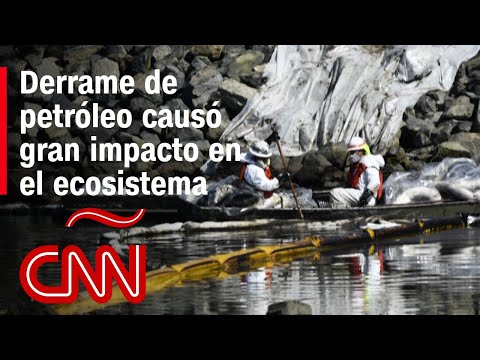 La contaminación en las aguas de California tras derrame de petróleo perduraría años