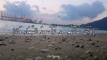 القارئ عبدالرحمن مسعد - {ولئن سألتهم من نزل من السماء ماء فأحيا به الأرض من بعد موتها ليقولن الله}