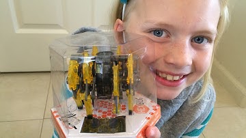 The Hexbug STRANDBEAST Robotic Spider Toy