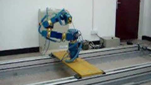 Robot Dexterity