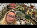 Crazy inventory rosales has some highly coveted plants right now