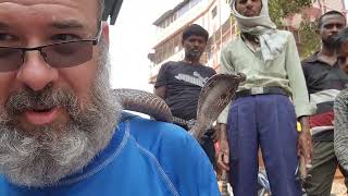 Snake Charmer Hands me a Cobra part 1