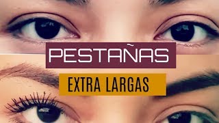 OMG PESTAÑAS MAS LARGAS ❤ // MASCARA DE PESTAÑAS CON FIBRAS ALARGADORAS 3D