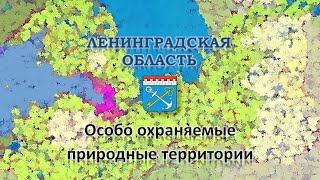 8 класс 6 урок ООПТ Ленинградской области