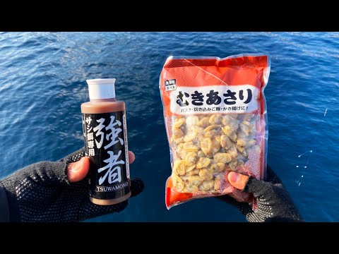 真冬の堤防で「むきあさり」を餌にしたら大型化した高級魚が連発しました