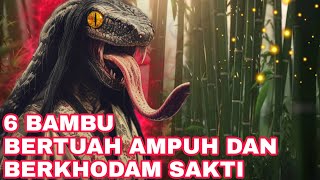 BAMBU SAKTI!!!_INILAH 6 BAMBU BERTUAH PALING AMPUH DAN BERKHODAM SAKTI DI SELURUH INDONESIA