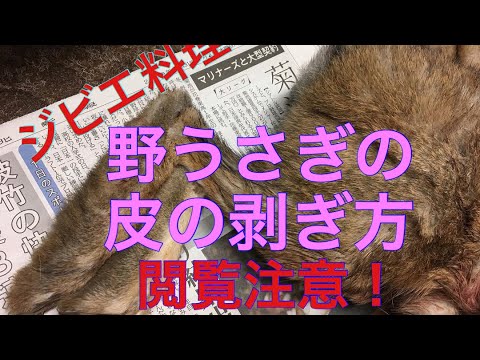 野うさぎの皮の剥ぎ方。解体法