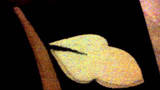 VID-20120522-00000