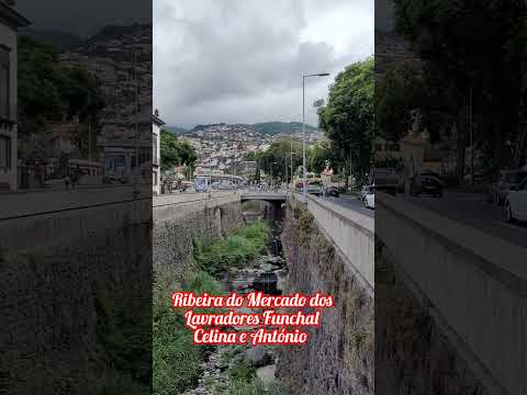 Celina e António - Ribeira de João Gomes Funchal Madeira Portugal 2023