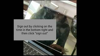Logging into Student accounts  from a chromebook