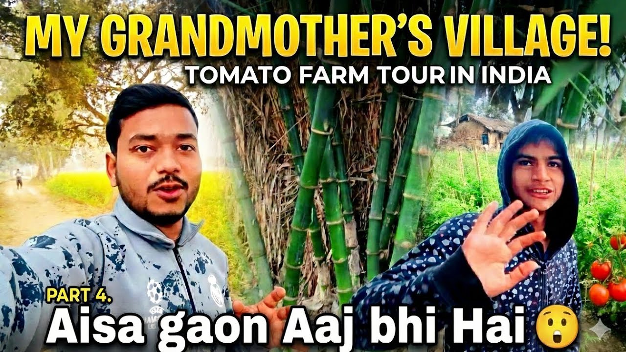Tomato Farm 🍅 & Bamboo Tree 🎋 | Real Indian Village Life | Shivam Aradhay Vlogs