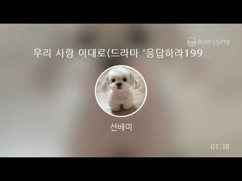 [everysing] 우리 사랑 이대로(드라마 '응답하라1997' OST)