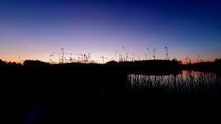 🌙 Immerse Yourself in the Magic of a Summer Night: The Mystic Peace of the Lakeshore