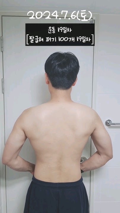 운동 19일차[팔굽혀 펴기 100개 19일차] - Youtube