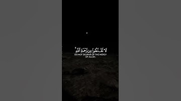 القارئ سلمان المطيري | سورة الزمر