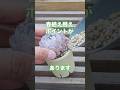 【植え替えのポイント】